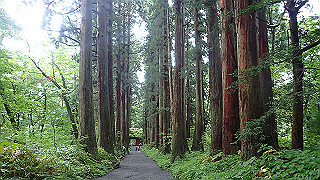 p8290832_thumb.jpg