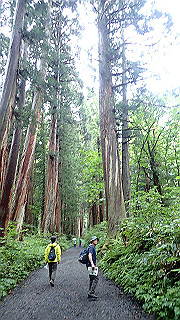 p8290833_thumb.jpg
