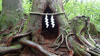 p8290834_thumb.jpg