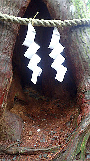 p8290835_thumb.jpg