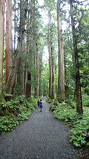 p8290836_thumb.jpg