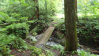 p8290838_thumb.jpg