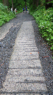 p8290839_thumb.jpg