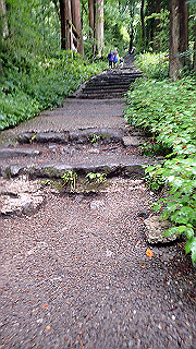 p8290840_thumb.jpg