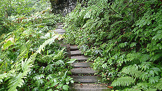 p8290849_thumb.jpg
