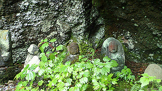 p8290850_thumb.jpg