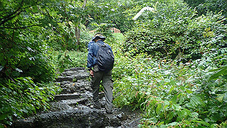 p8290852_thumb.jpg