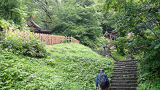 p8290856_thumb.jpg