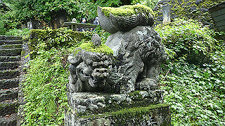 p8290857_thumb.jpg