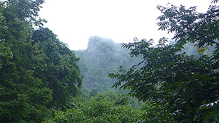 p8290870_thumb.jpg
