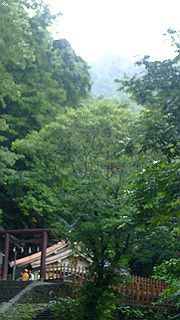 p8290871_thumb.jpg