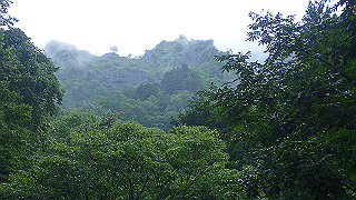 p8290872_thumb.jpg