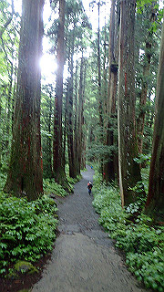 p8290876_thumb.jpg