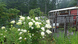 p8300888_thumb.jpg
