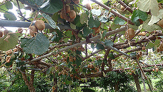 p9210912_thumb.jpg