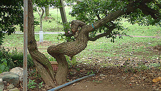 p9210914_thumb.jpg