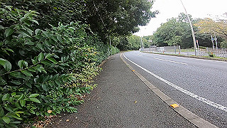 gh010046_x264.mp4_thumb.jpg