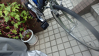 p9280931_thumb.jpg