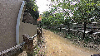gh010058_x264.mp4_thumb.jpg