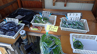p9300930_thumb.jpg