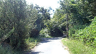 p9300932.mov_thumb.jpg