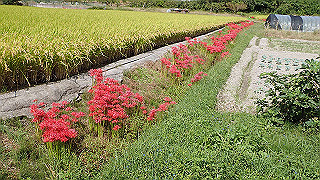 p9300937_thumb.jpg