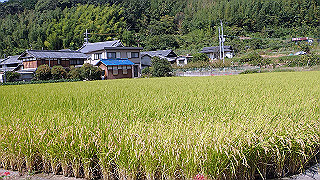 p9300938_thumb.jpg