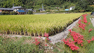 p9300939_thumb.jpg