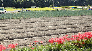 p9300942_thumb.jpg