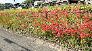 p9300944_thumb.jpg
