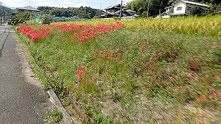 p9300945_thumb.jpg