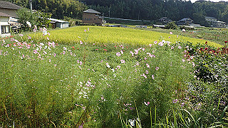 p9300947_thumb.jpg