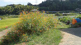 p9300950_thumb.jpg