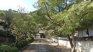 p9300954_thumb.jpg
