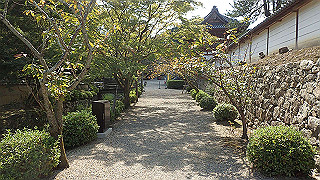 p9300956_thumb.jpg