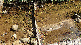 p9300960_thumb.jpg