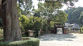p9300963_thumb.jpg