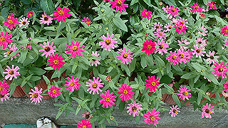 p9300978_thumb.jpg