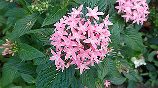 p9300981_thumb.jpg