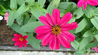 p9300982_thumb.jpg