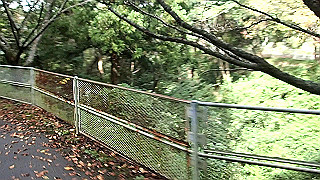 p9301003.mov_thumb.jpg