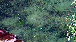 p9301030_thumb.jpg