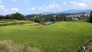 p9301044_thumb.jpg