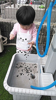 20191015_021537000_ios_thumb.jpg