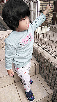 20191115_024250000_ios_thumb.jpg