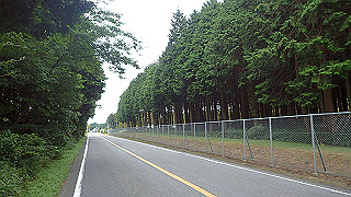 pa070985_thumb.jpg