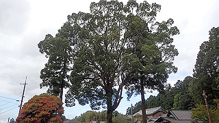 pa070997_thumb.jpg