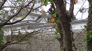pa071040_thumb.jpg