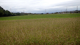 pa071065_thumb.jpg