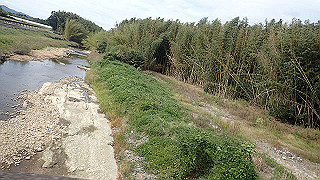pa071075_thumb.jpg